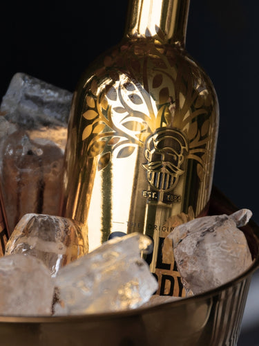 Banner with two vodka bottles in an ice bucket