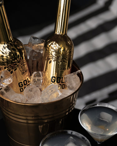 Two glasses and two vodka bottles in an ice bucket